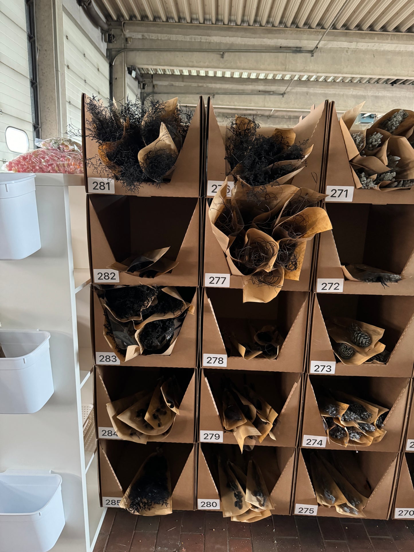 Trockenblumen MYSTERY BOX