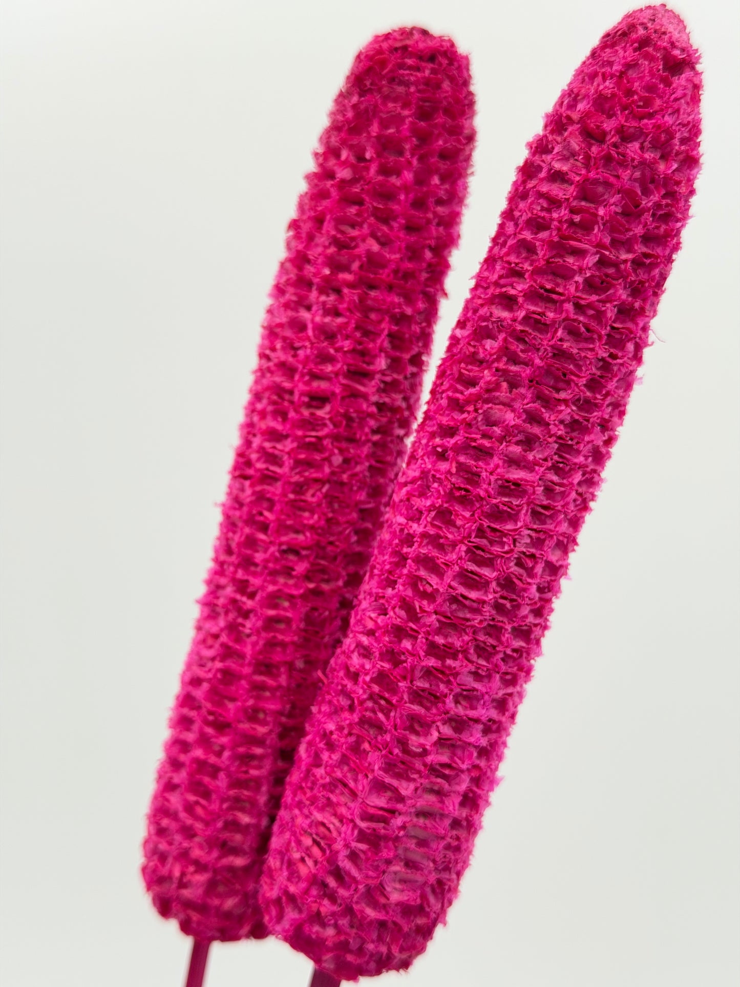 Mais geraspelt am Stiel pink 3er