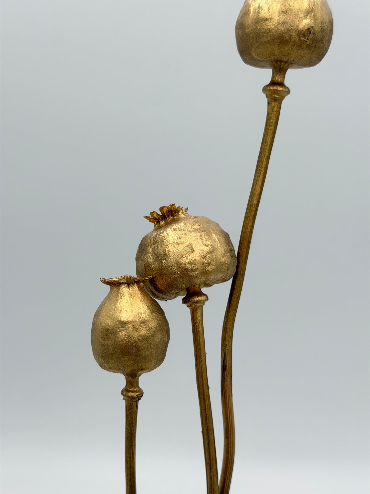 Mohnkapsel gold 3 Stück