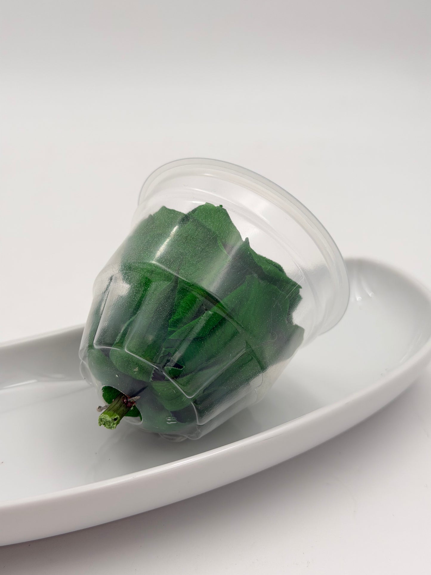 Blüte Infinity Rose dunkelgrün exquisite 1 Stück