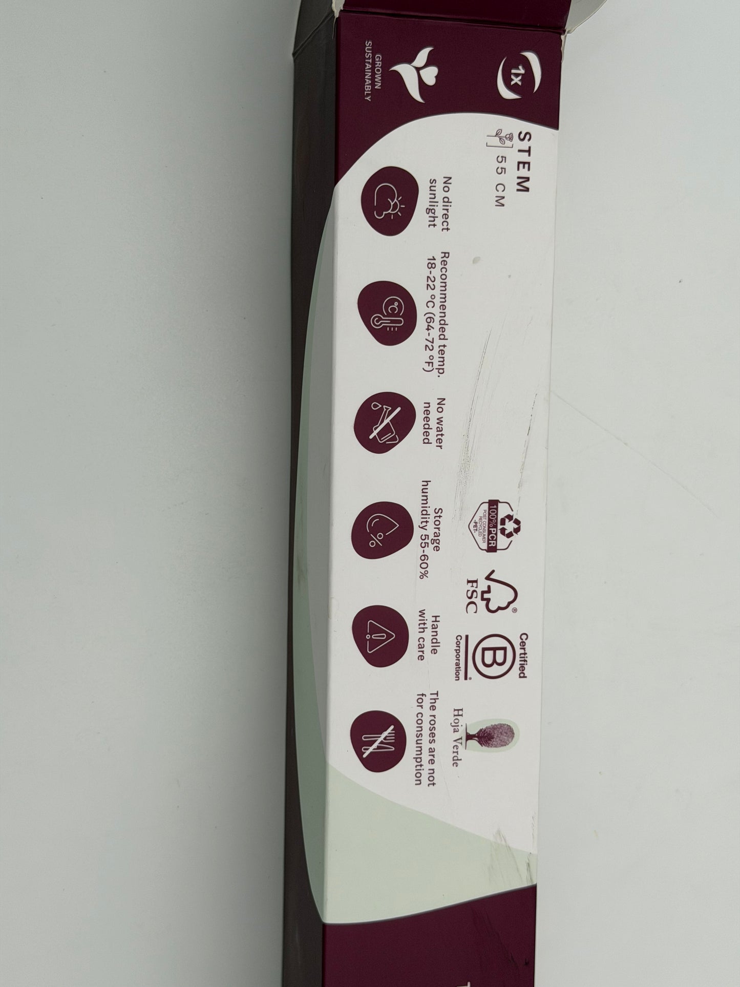 Infinity Rose mit Stiel peach apricot 50 cm