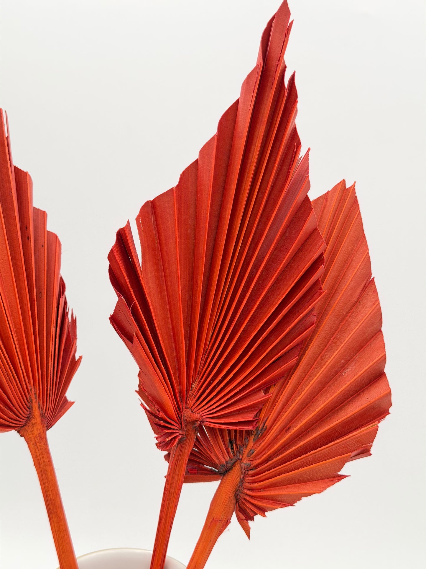 Palmblatt orange 3er