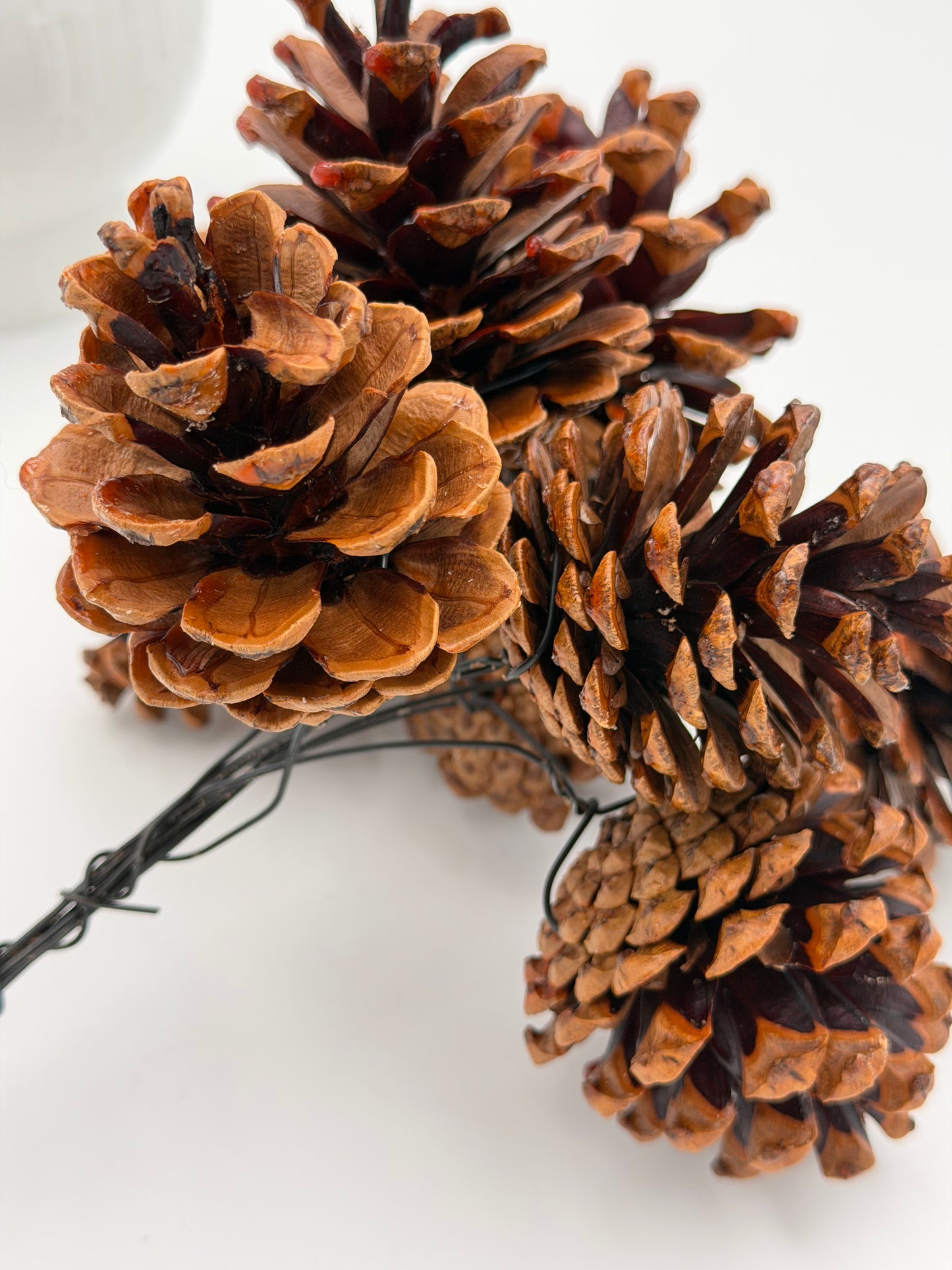Pinien Zapfen lackiert am Draht 10er