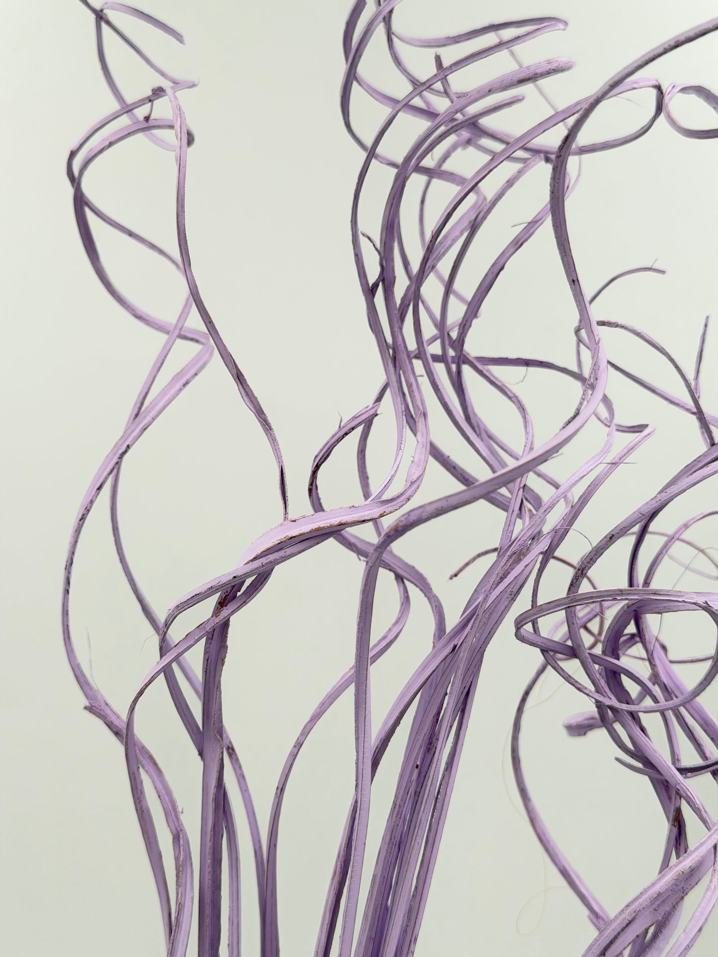 Curly Ting Ting getrocknet flieder hell lila