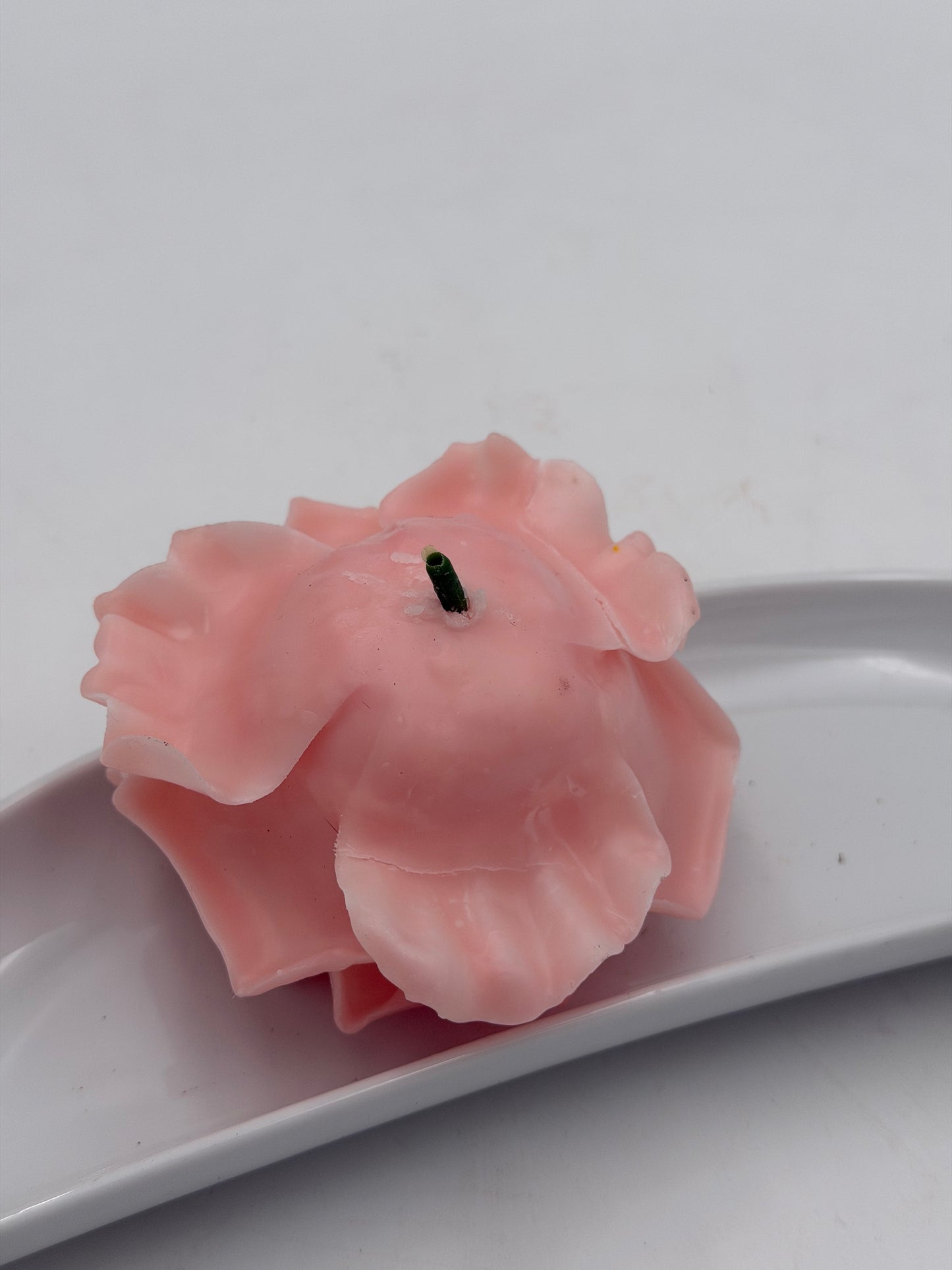 Wachs Rose rosa Ozeana 1 Stück