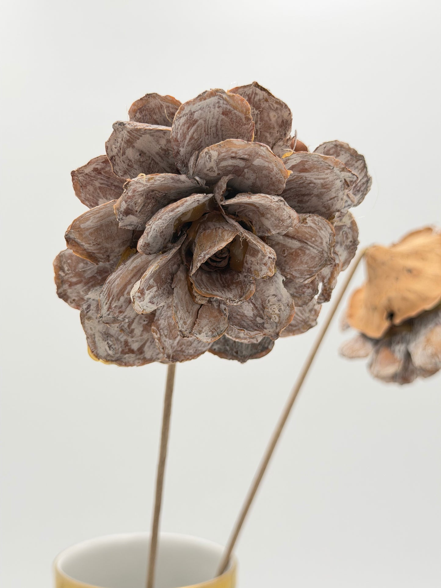 Pinienrose groß am Stiel braun Natur washed 2 Stück