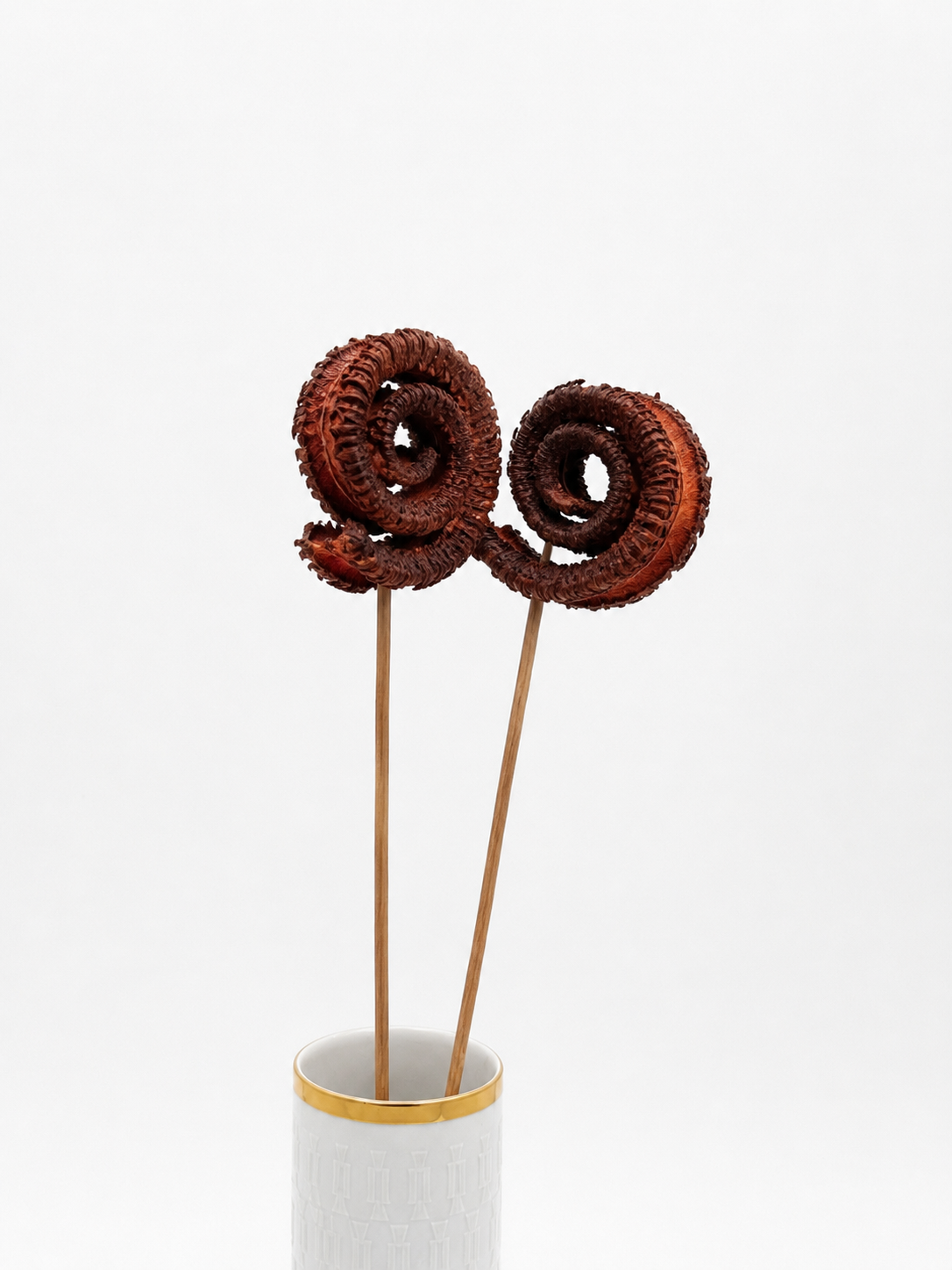Palm Schnecke am Holzstab orange