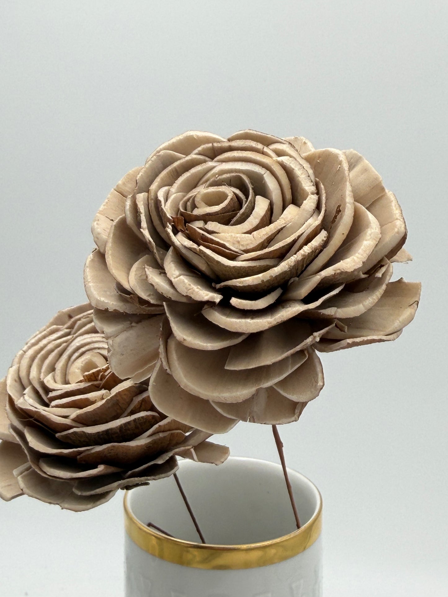 Blüte Sola am Draht beige Baileys 2 Stück