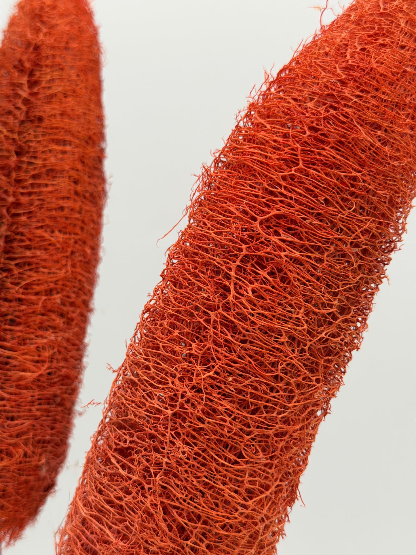 Luffa am Holzstab orange 2 Stück