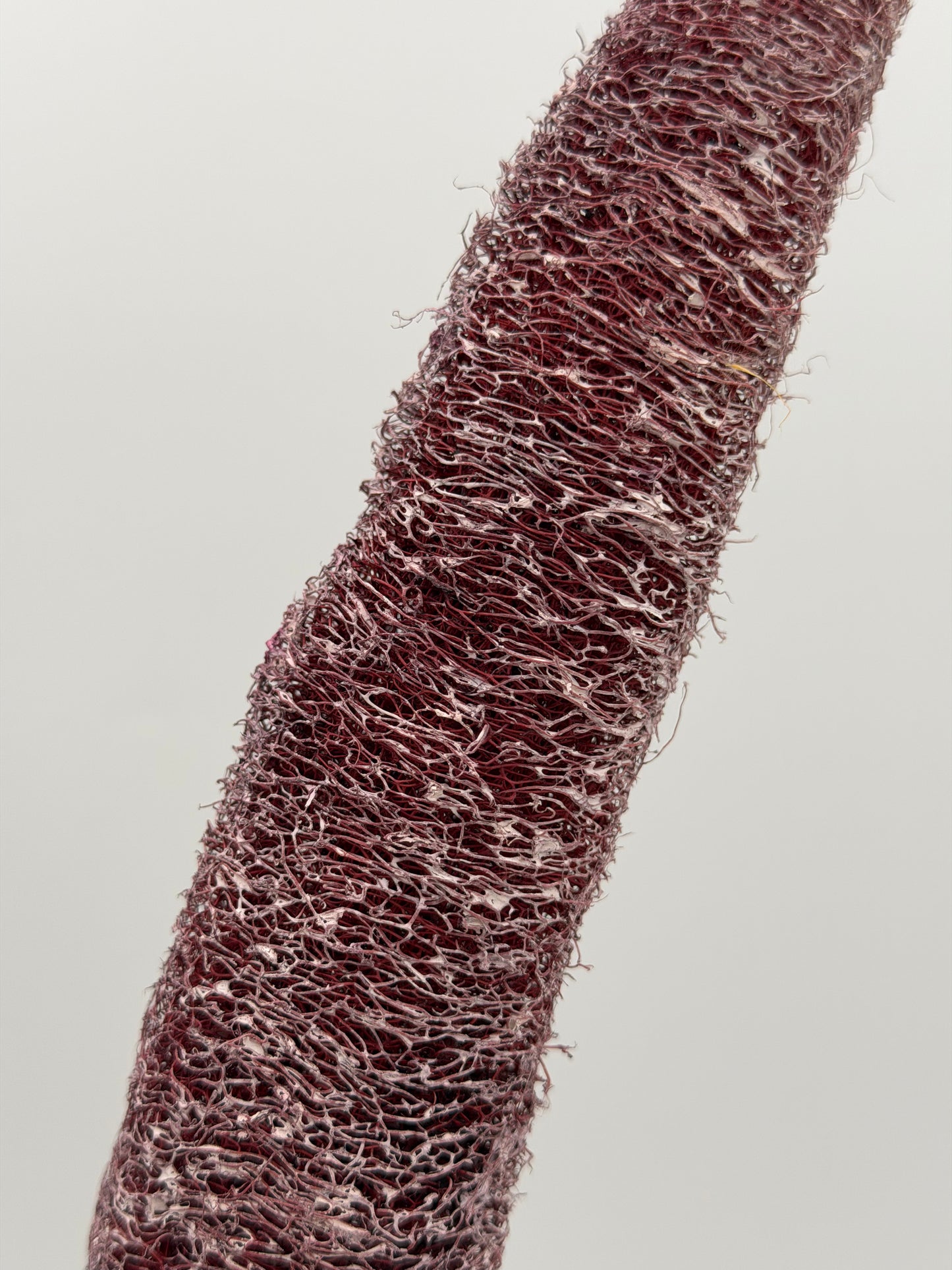 Luffa am Holzstab flieder 2 Stück