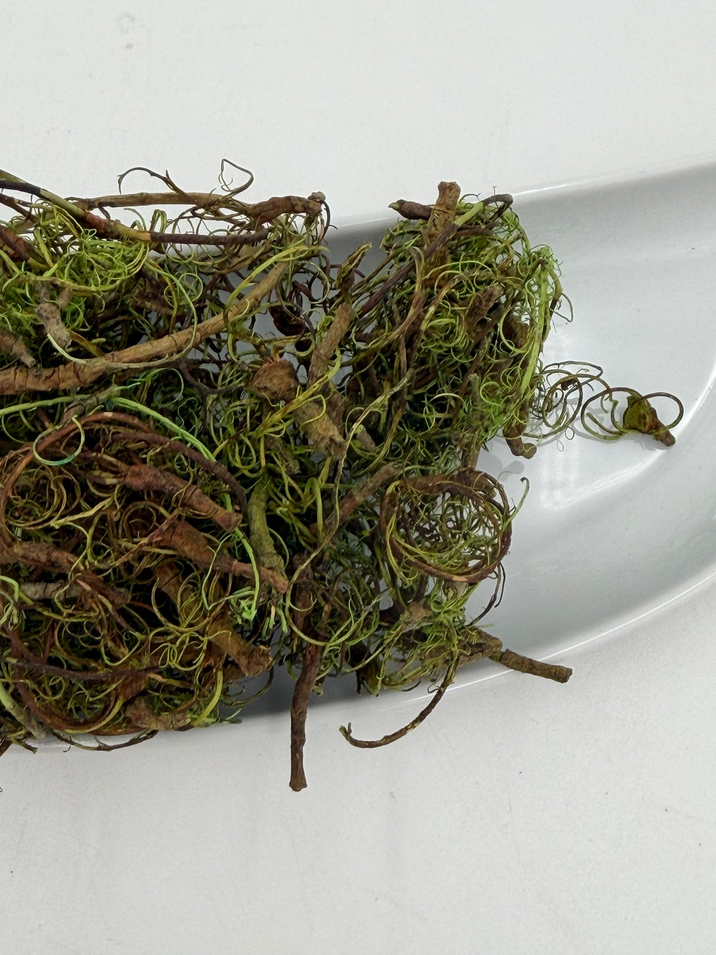 Curlymoos grün 20 Gramm