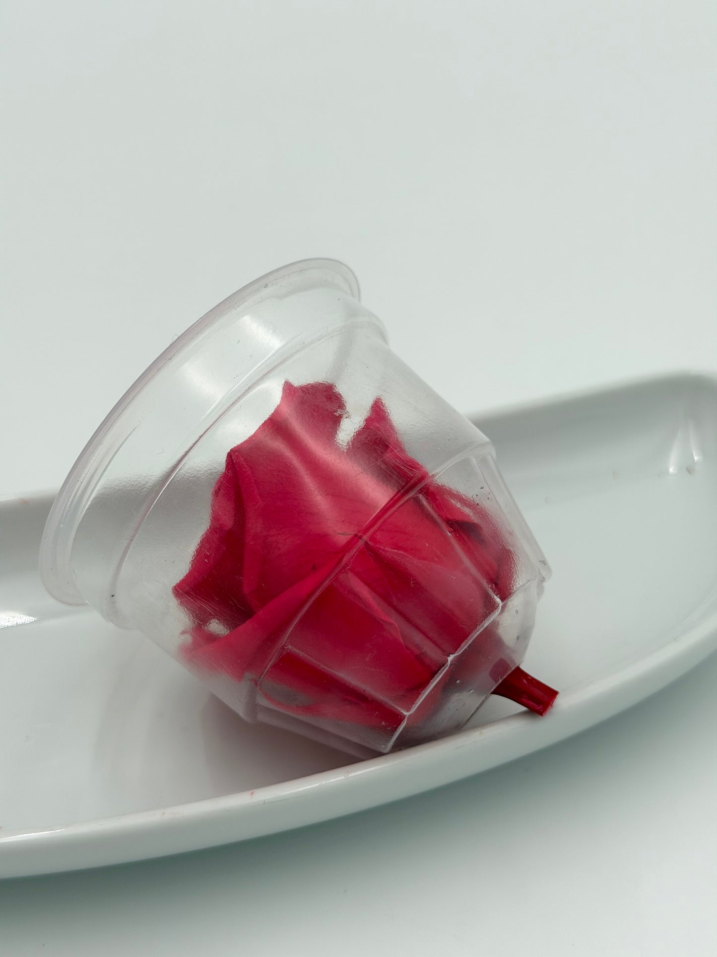 Blüte Infinity Rose verdissimo dark pink 1 Stück