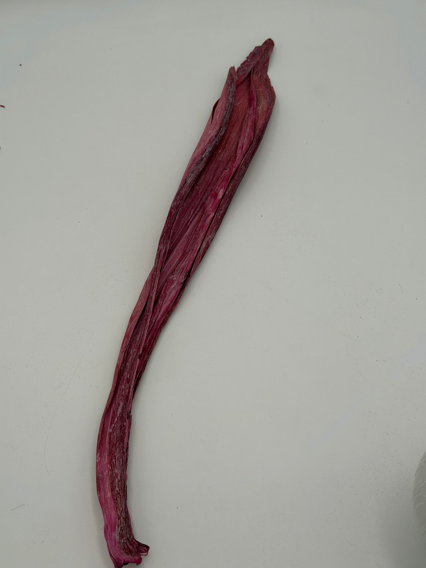 Langes Blatt lila