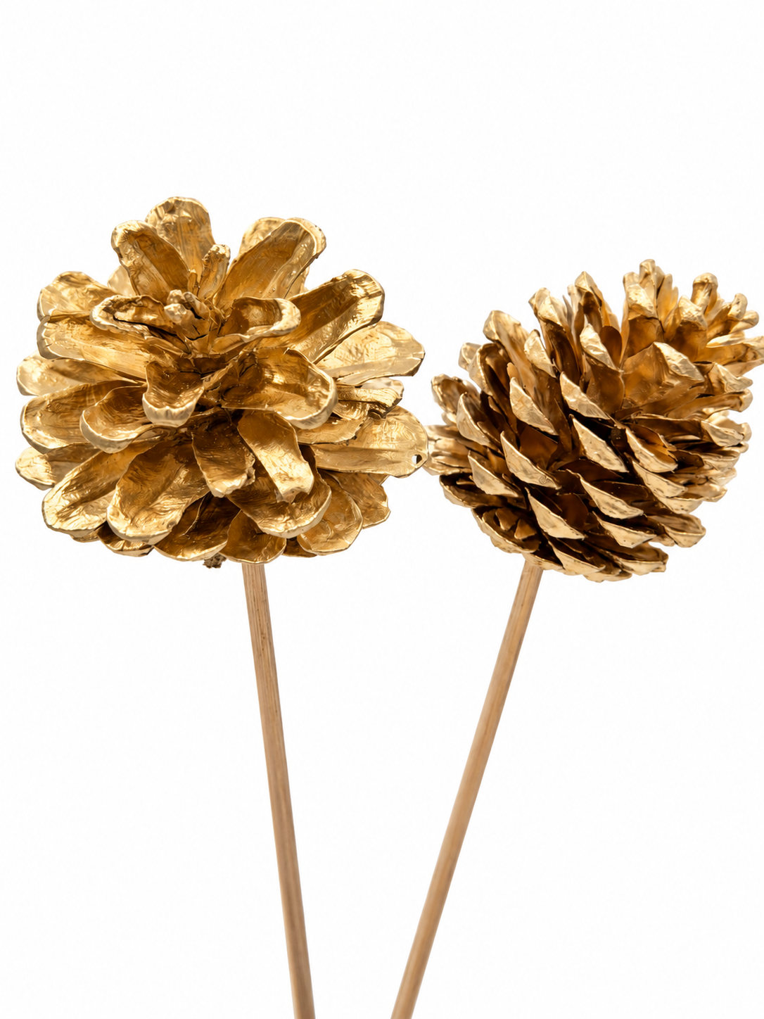 Kiefernzapfen am Stiel Gold