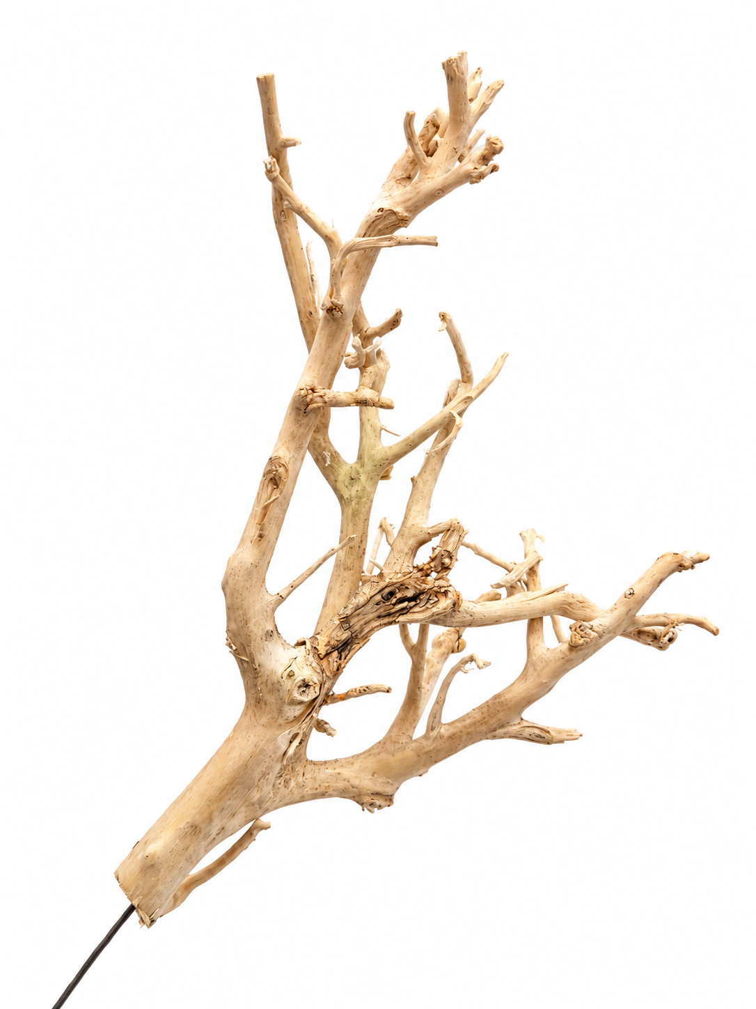 White Bush Naturzweig am Draht 30 cm