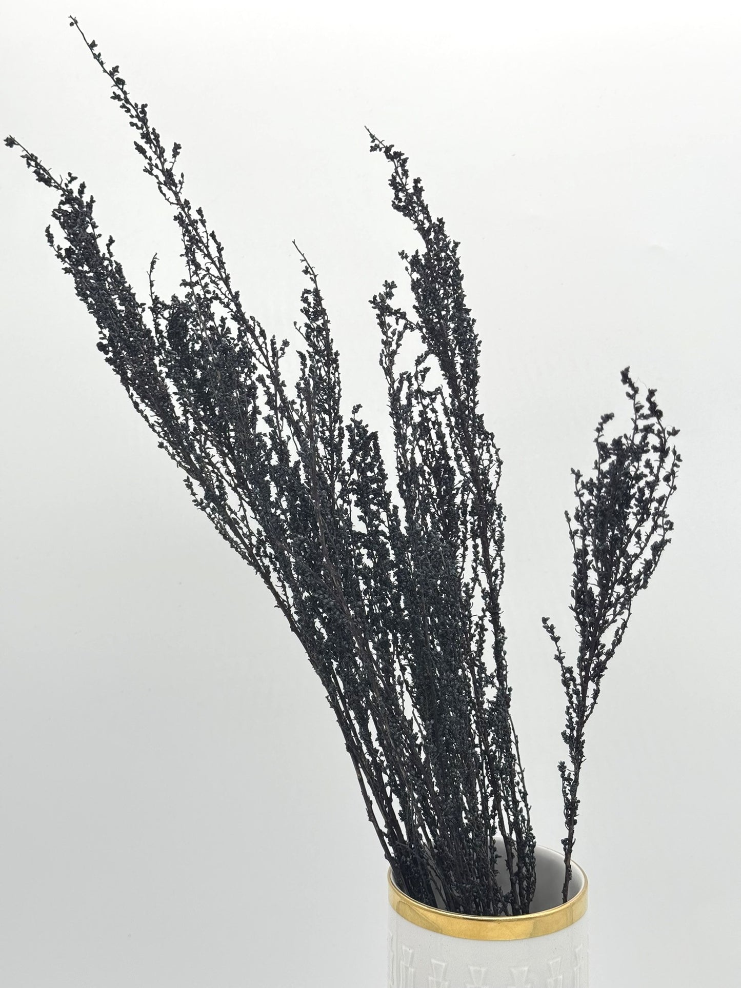 Solidago dünn dunkelblau