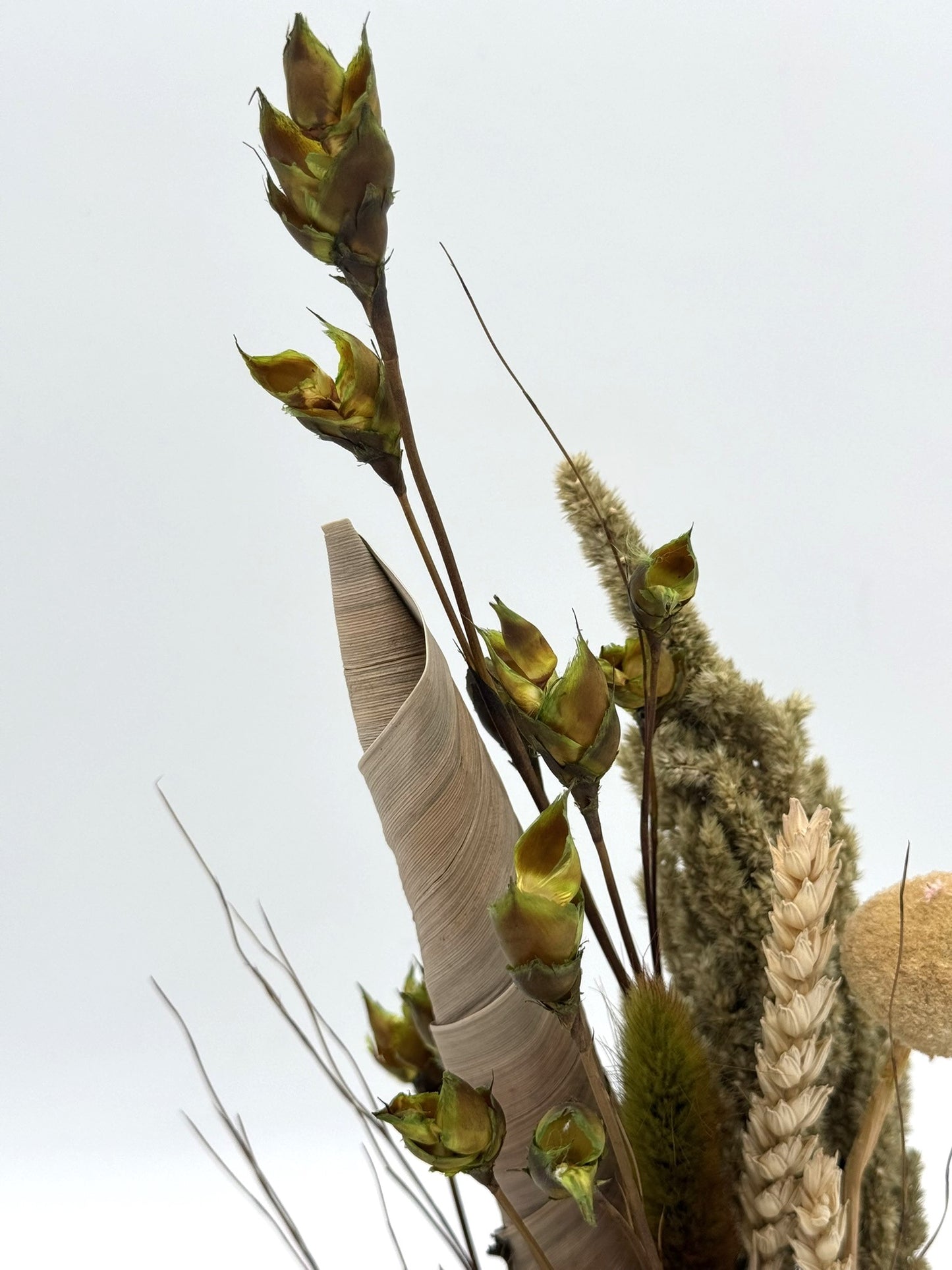 Naturgesteck Kauknochen grün