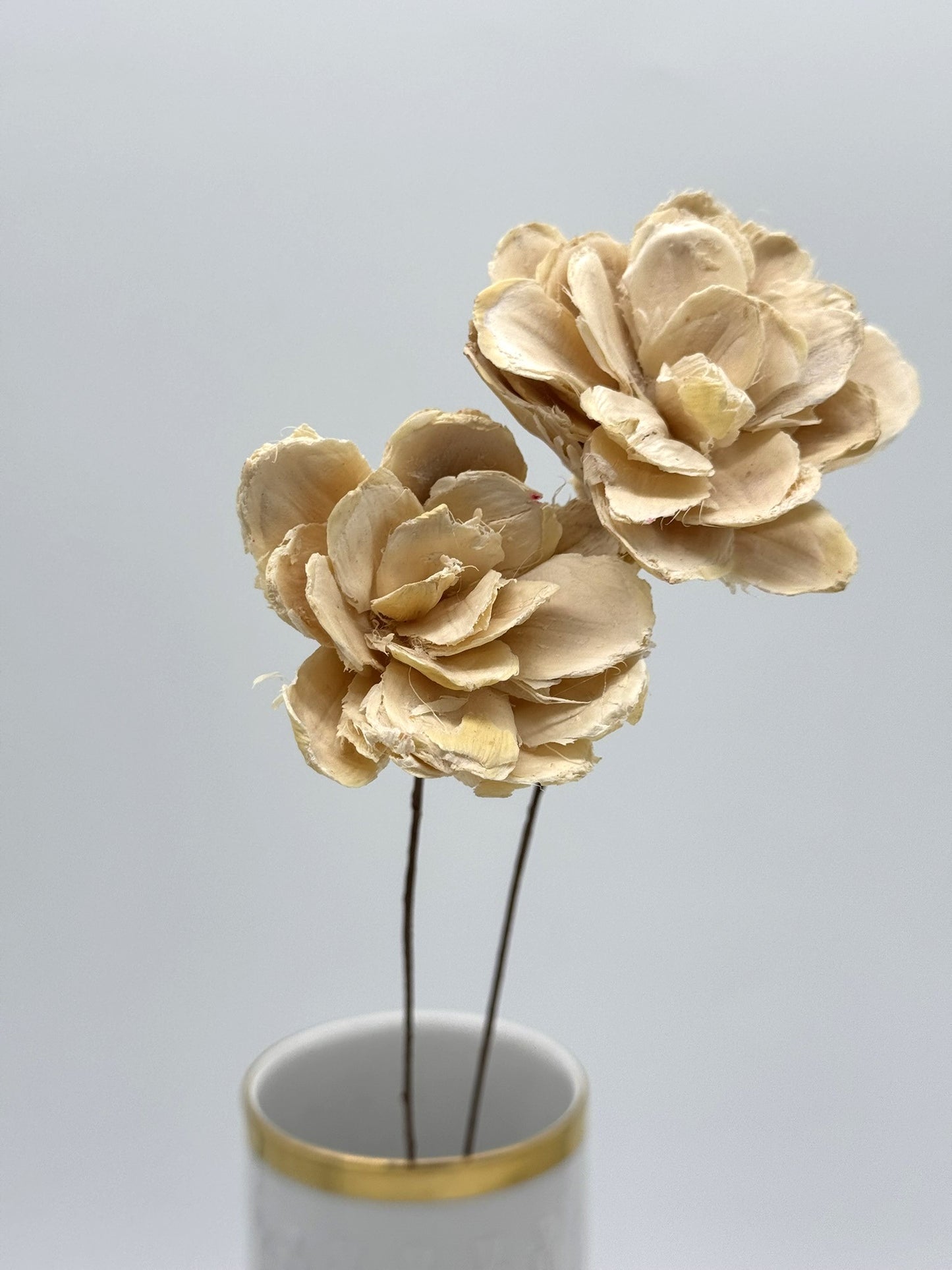 Blüte Rose Pinion am Draht 2 Stück