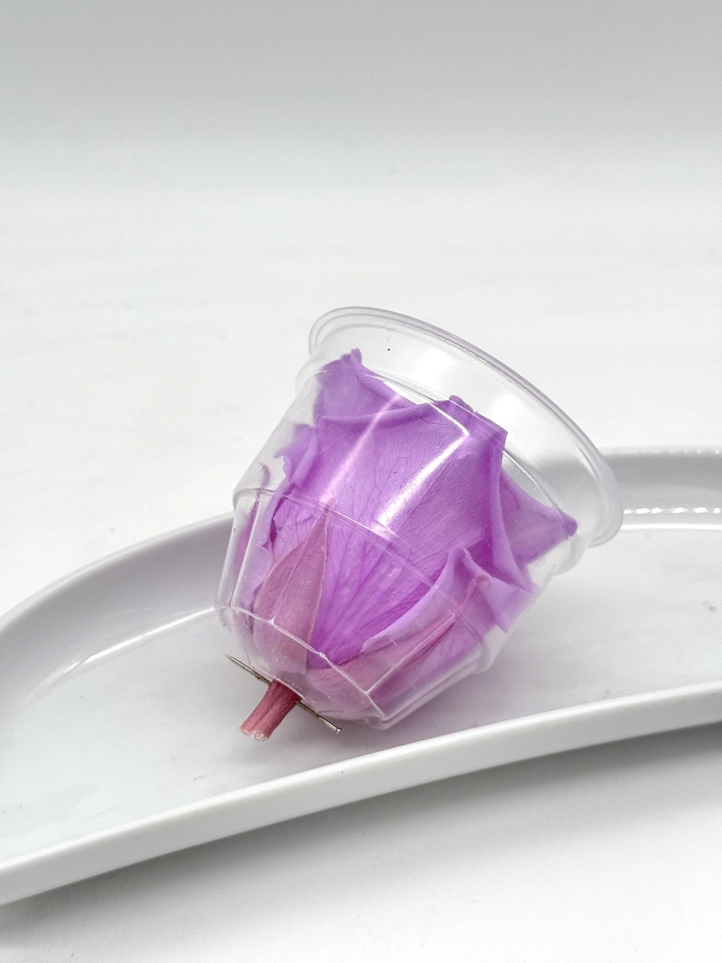 Blüte Infinity Rose lila-flieder