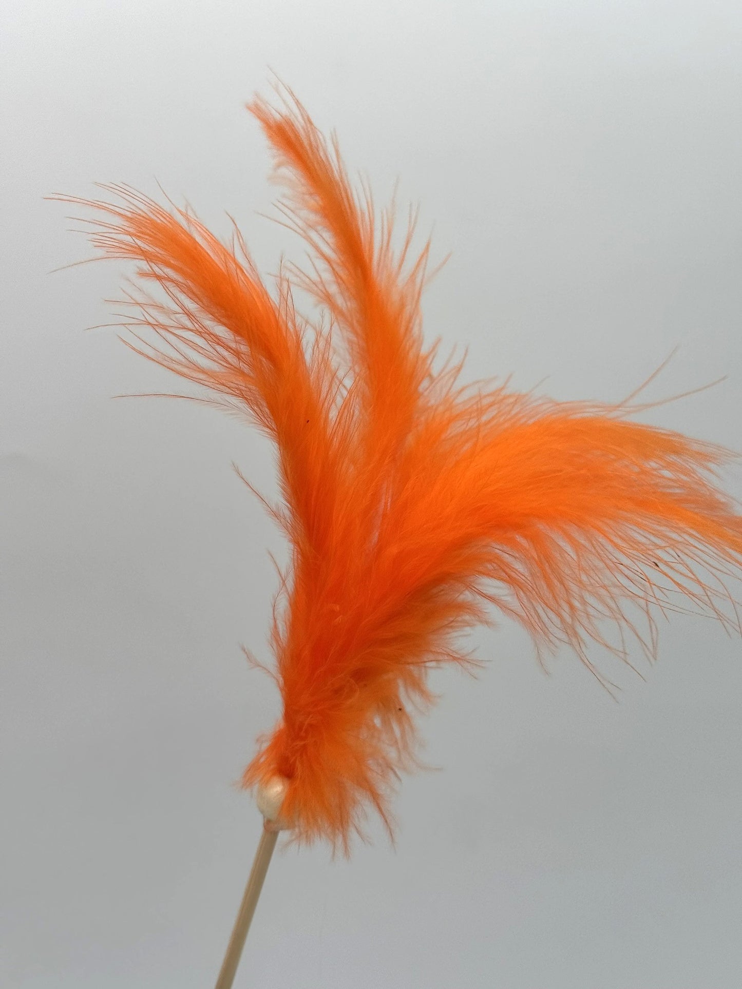 Dekostecker Federn 1 Stück