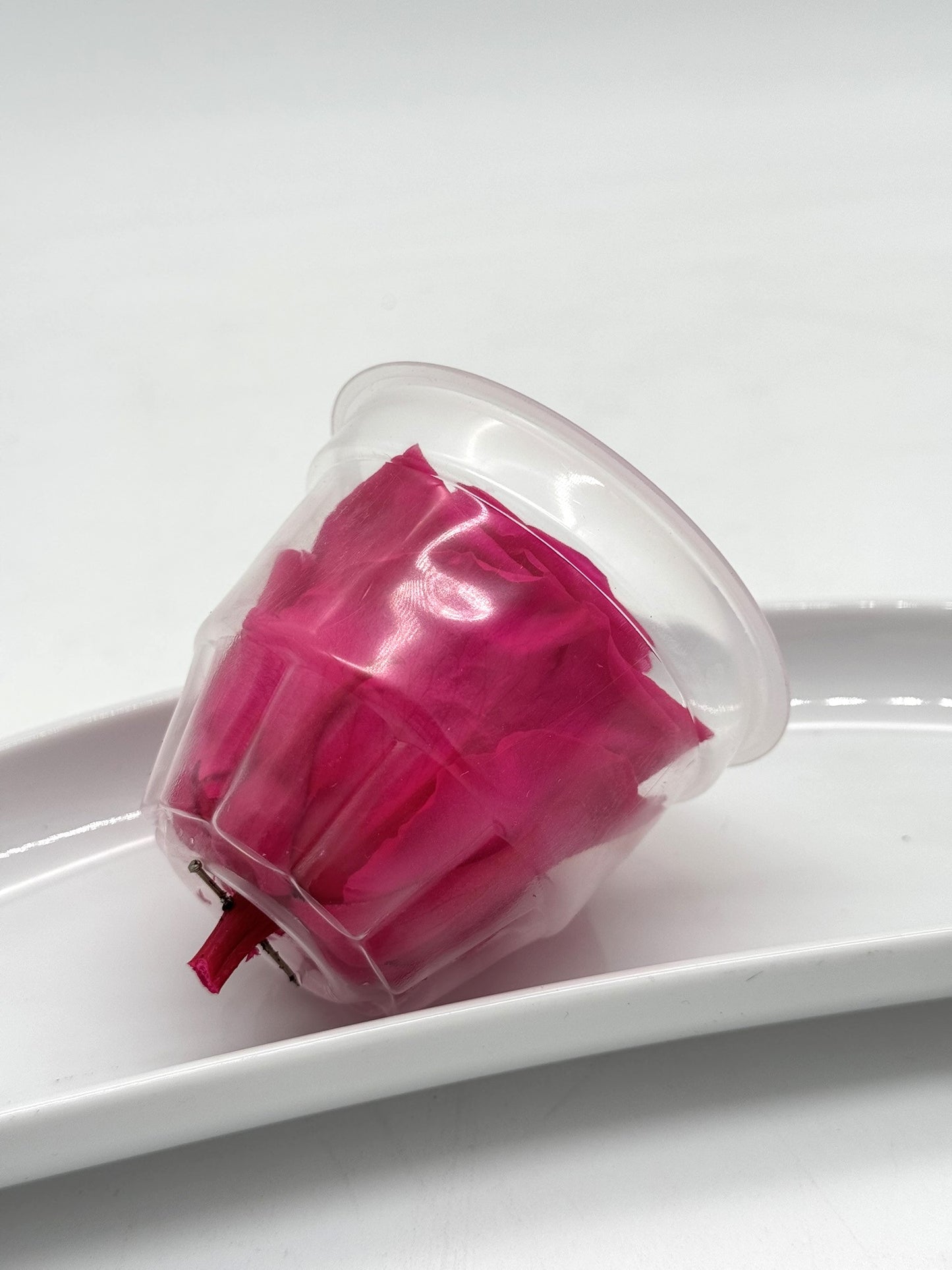 Blüte Infinity Rose pink