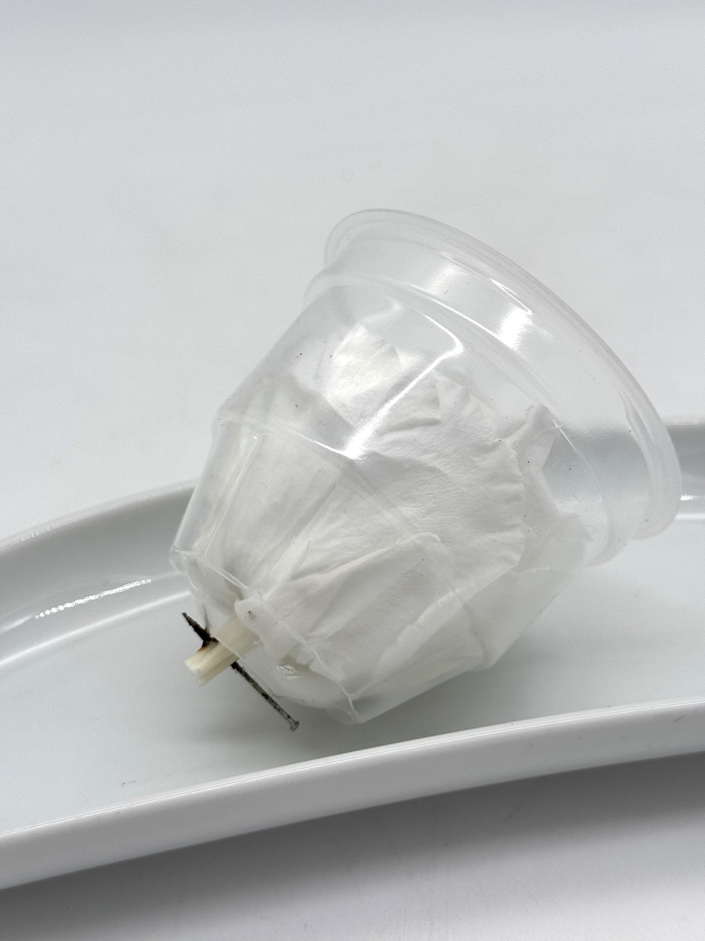 Blüte Infinity Rose weiß