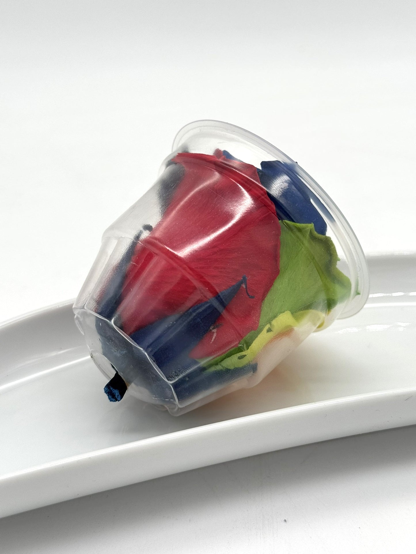 Blüte Infinity Rose Rainbow