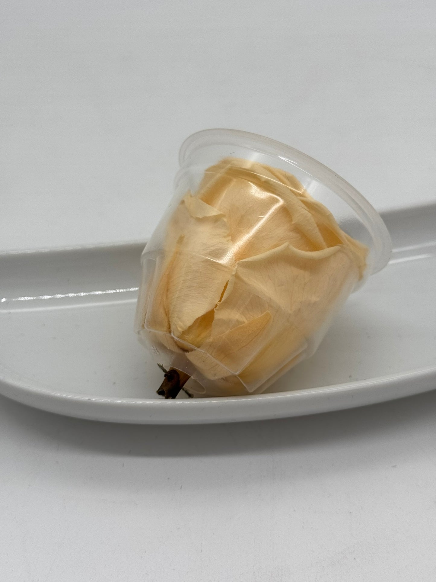 Blüte Infinity Rose champagner 1 Stück