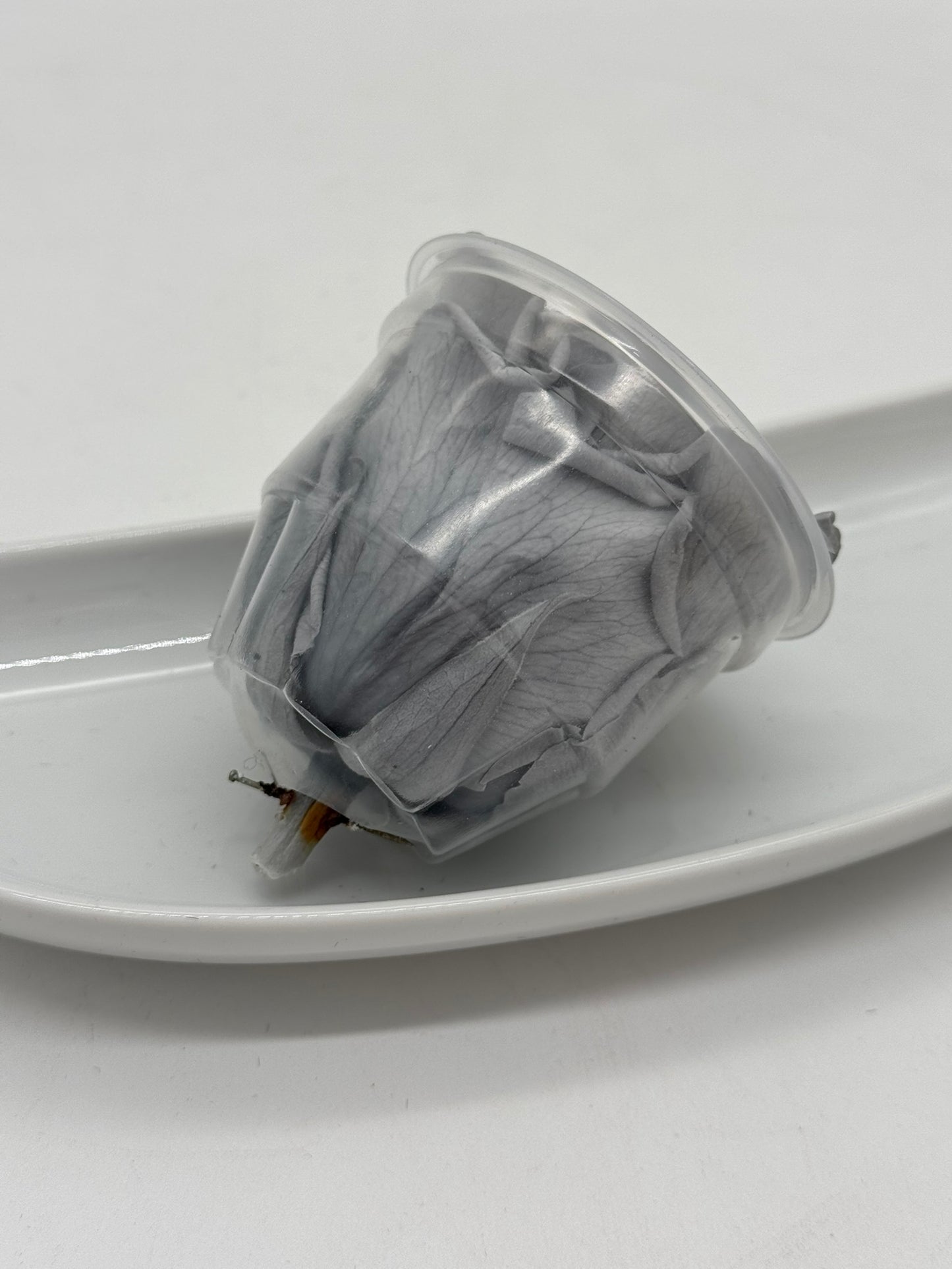 Blüte Infinity Rose grau 1 Stück