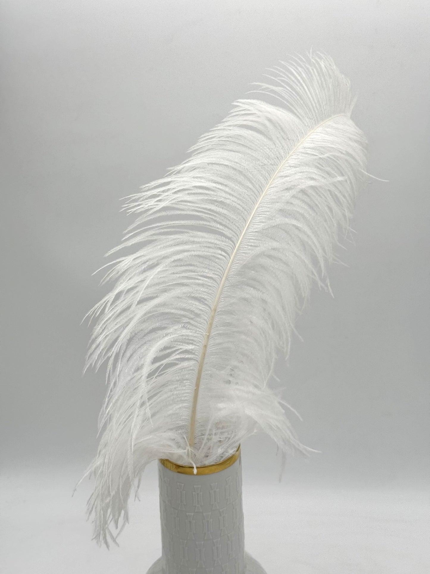 Deko Straußenfedern groß 50 cm 1 Stück