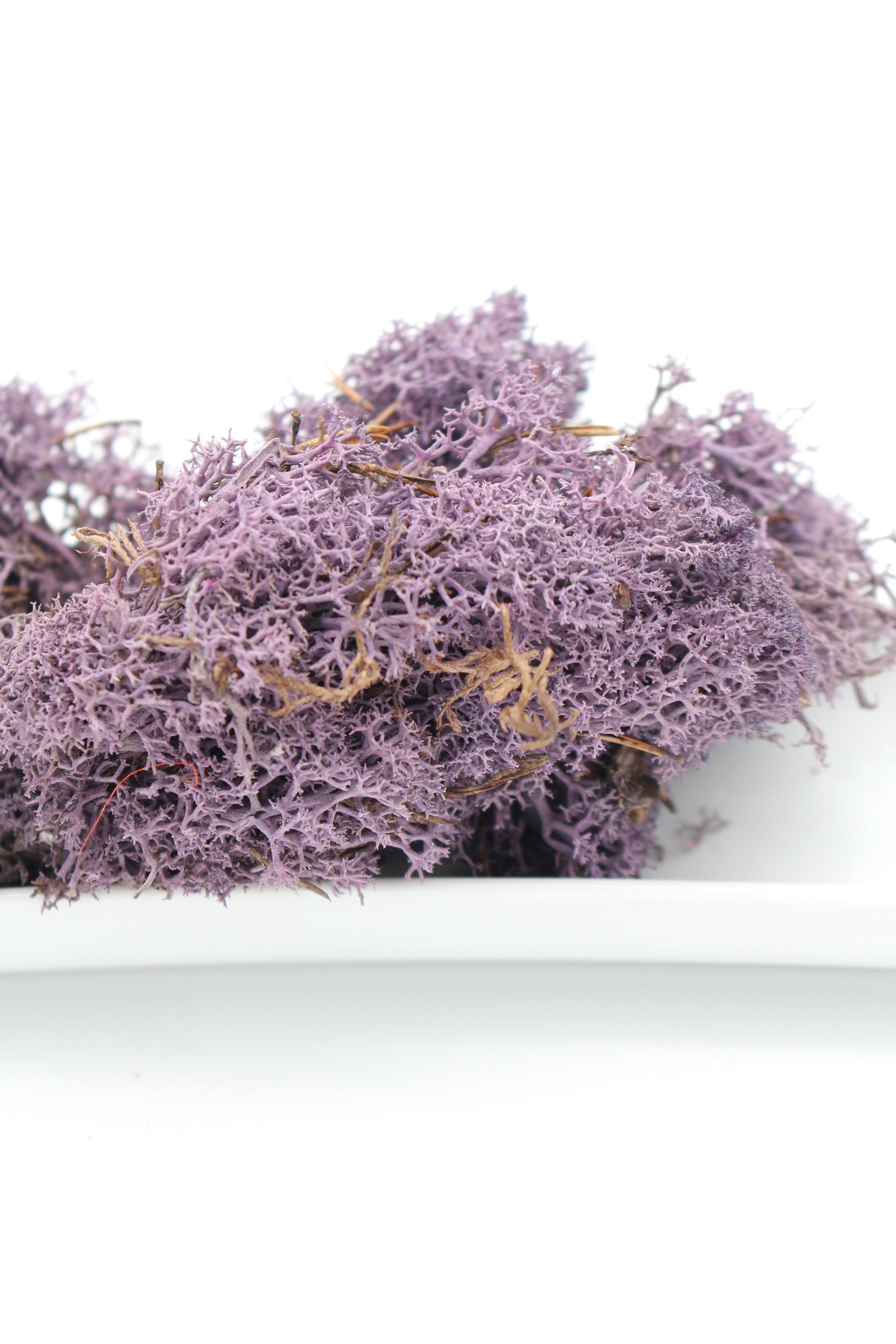 Islandmoos flieder 20 Gramm