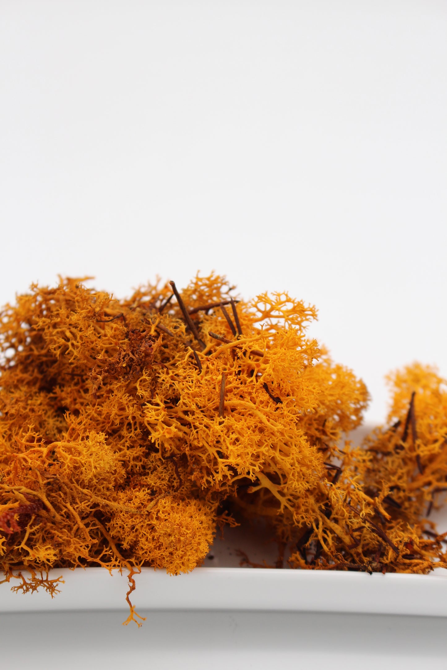 Islandmoos orange 20 Gramm