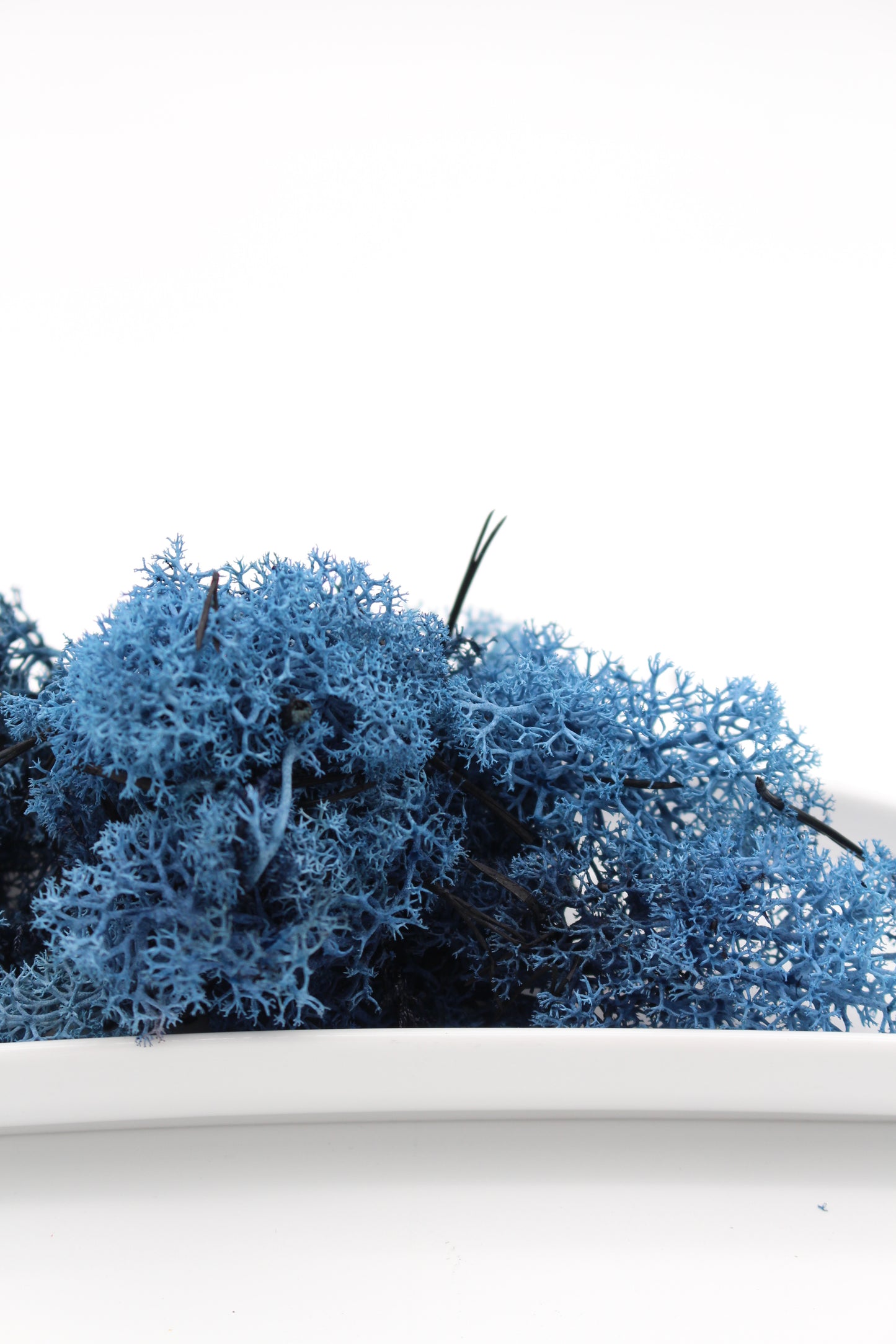 Islandmoos blau 20 Gramm