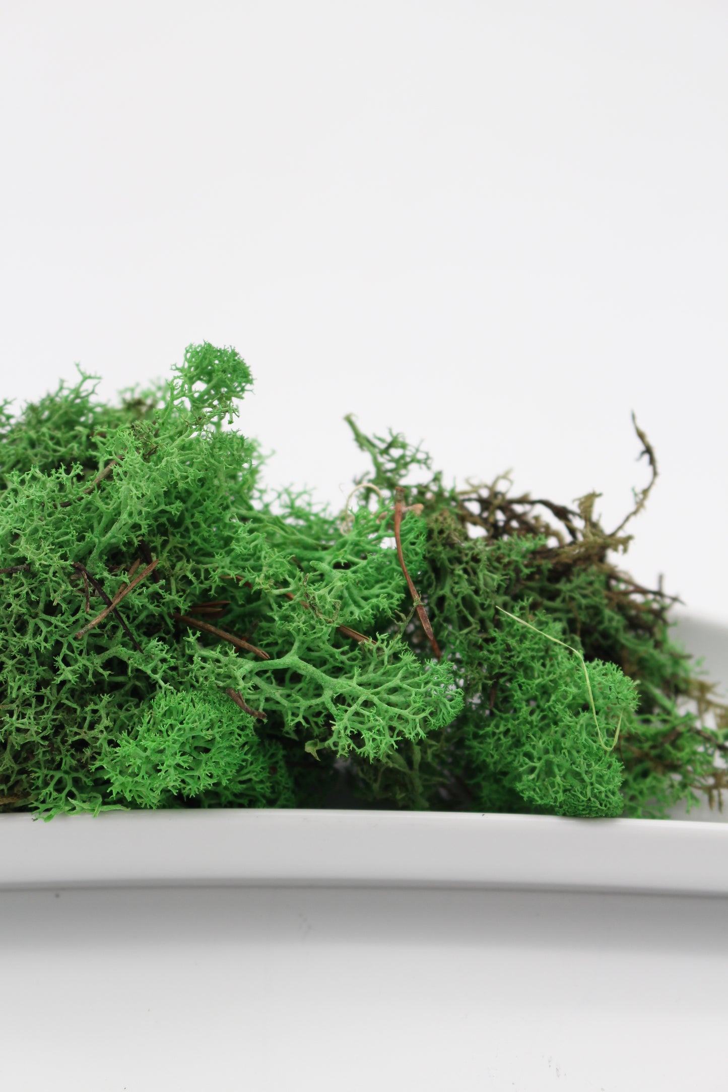 Islandmoos grün 20 Gramm