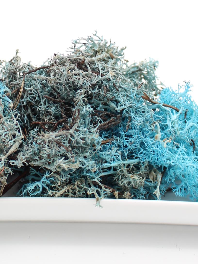 Islandmoos türkis 20 Gramm