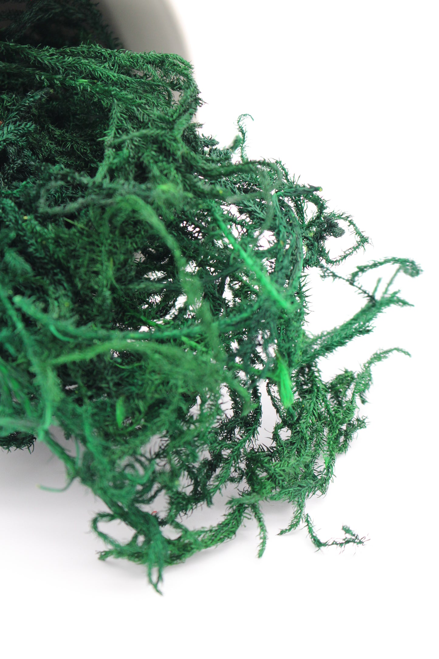 Erikamoos grün 20 Gramm