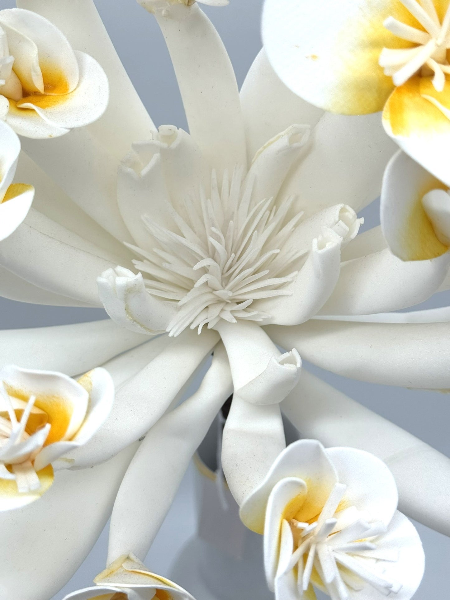 Frangipani orange 85 cm 1 Stück