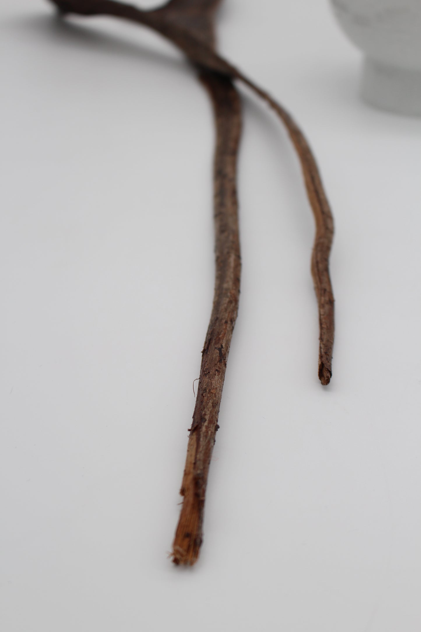 Geweihholz braun lackiert 2 Stück