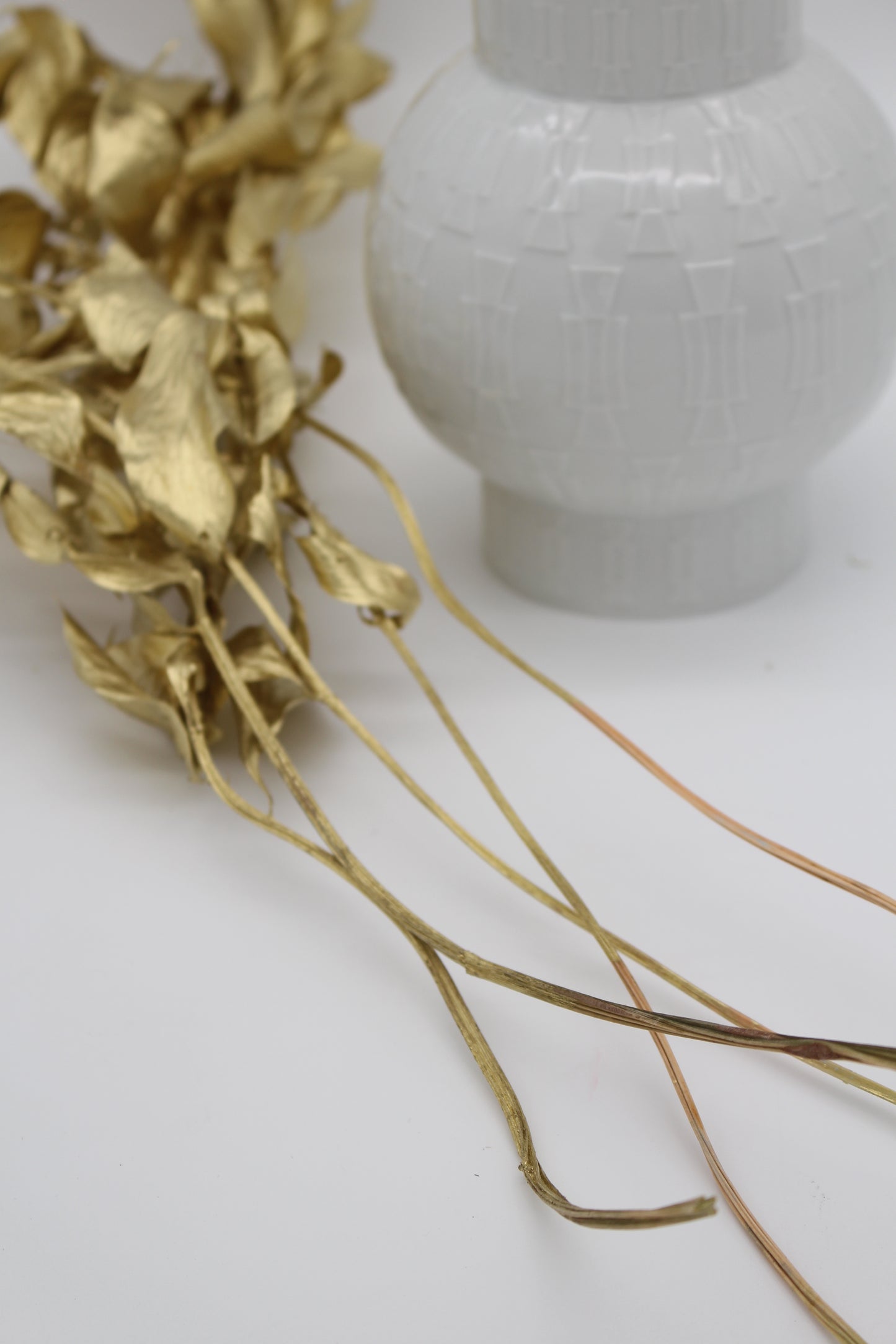 Ruscus großblättrig gold