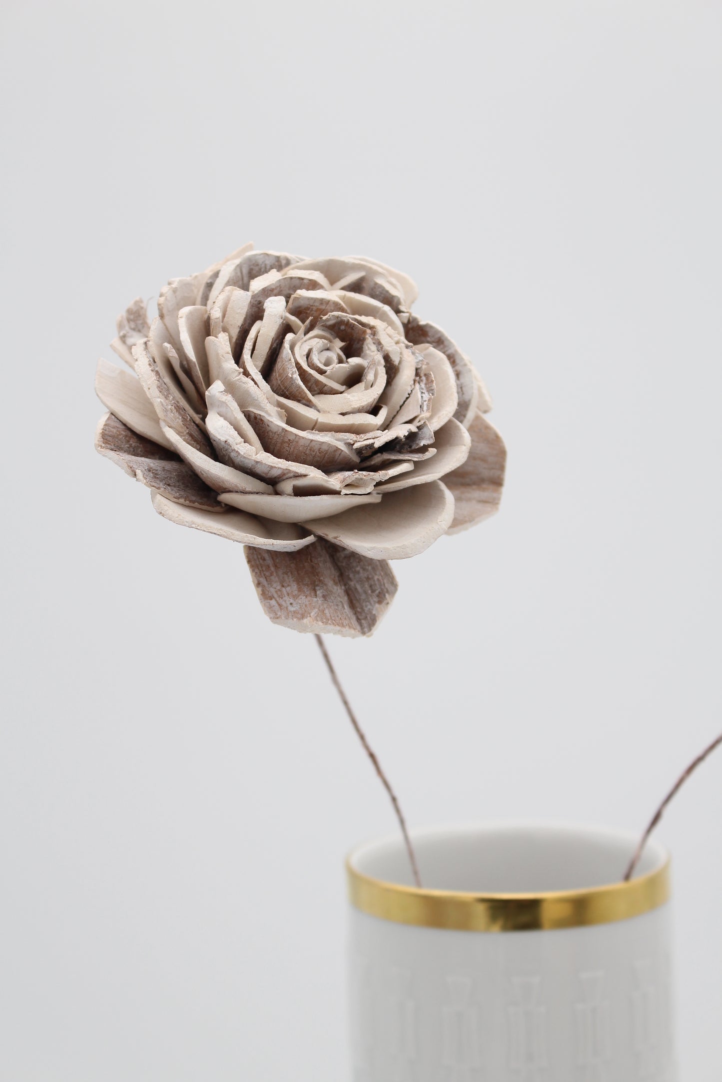Blüte Sola am Draht camel 2 Stück