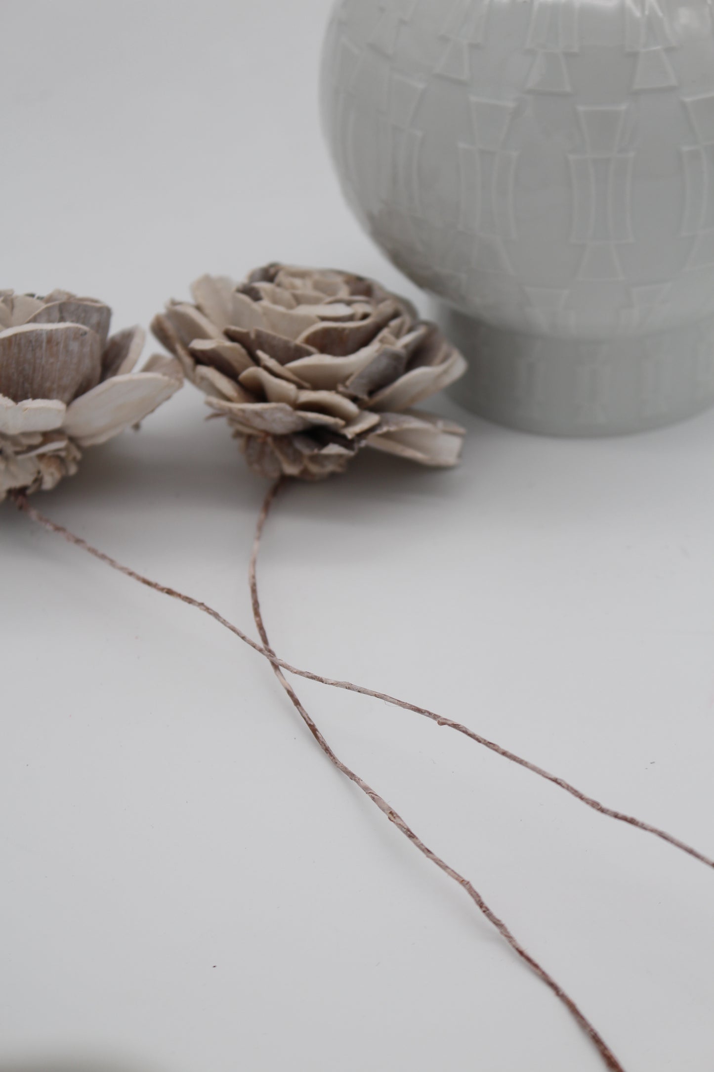 Blüte Sola am Draht camel 2 Stück