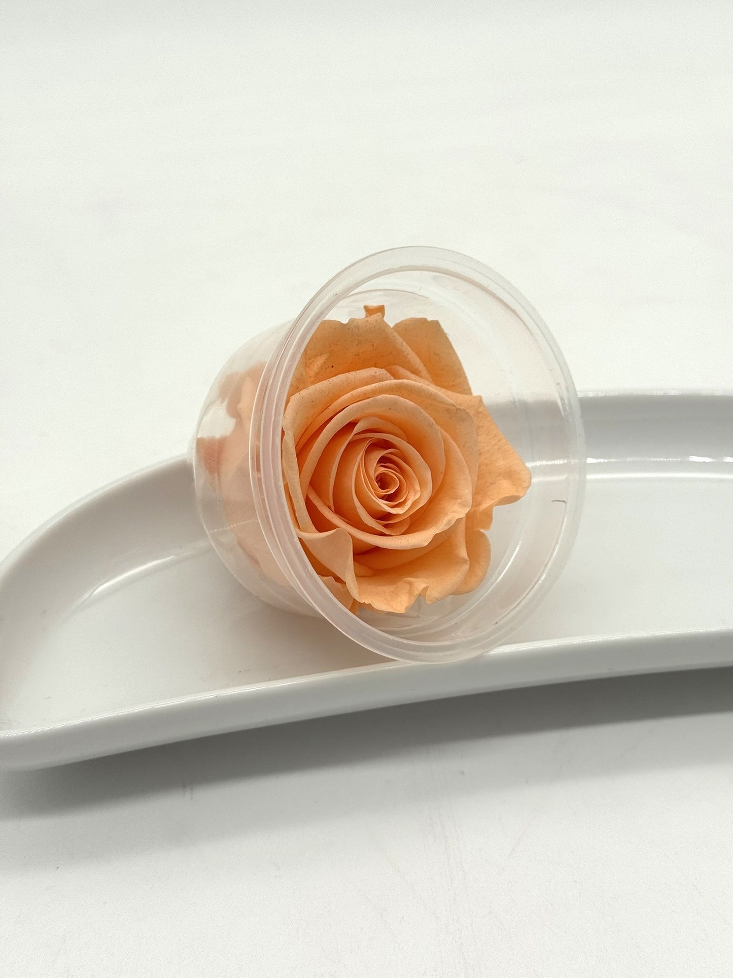 Blüte Infinity Rose apricot 1 Stück
