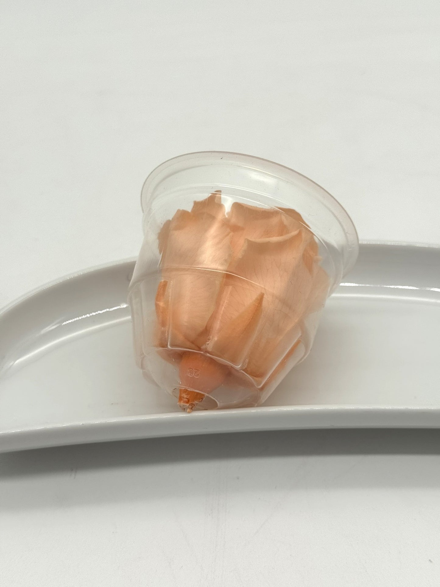 Blüte Infinity Rose apricot 1 Stück