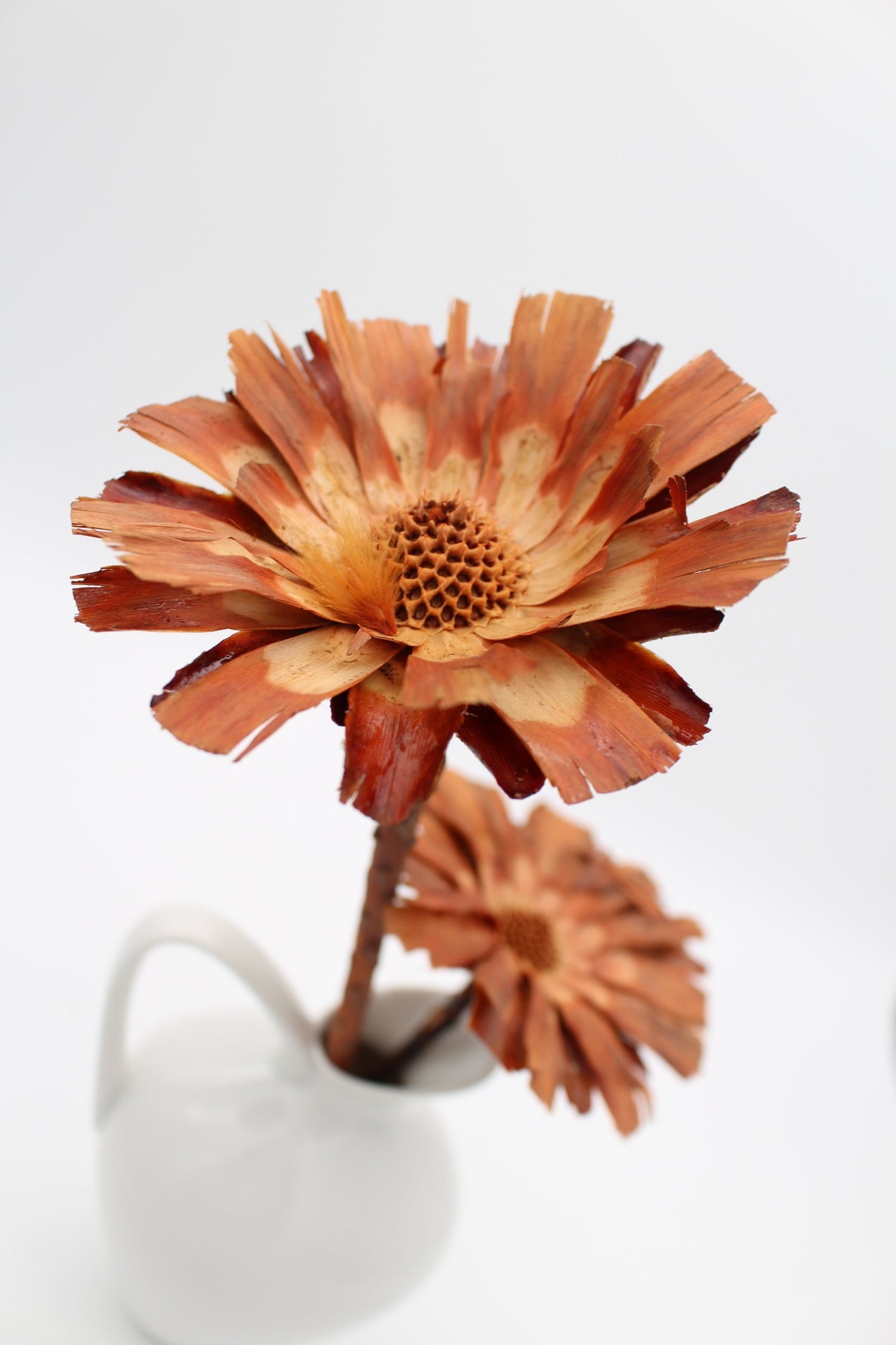 Trockenblumen/Naturmaterial