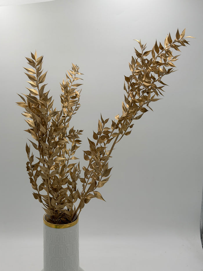 Ruscus gold