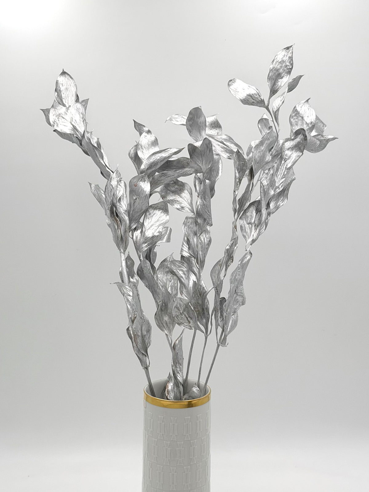 Ruscus großblättrig silber