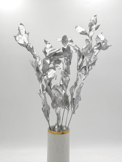 Ruscus großblättrig silber