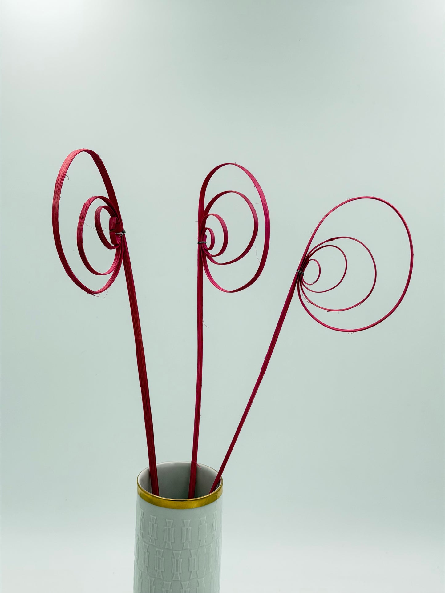 Cane Coil pink 3 Stück