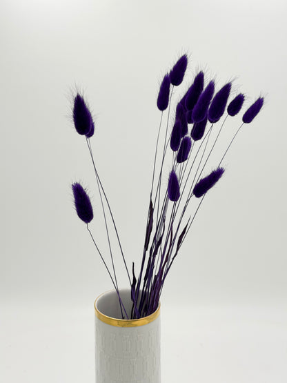 Lagurus lila