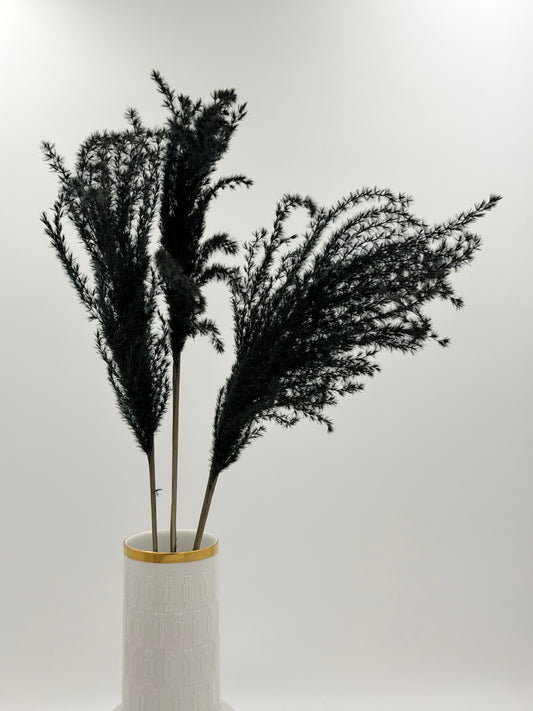 Pampas Stipha Federgras Stiel schwarz 3 Stück